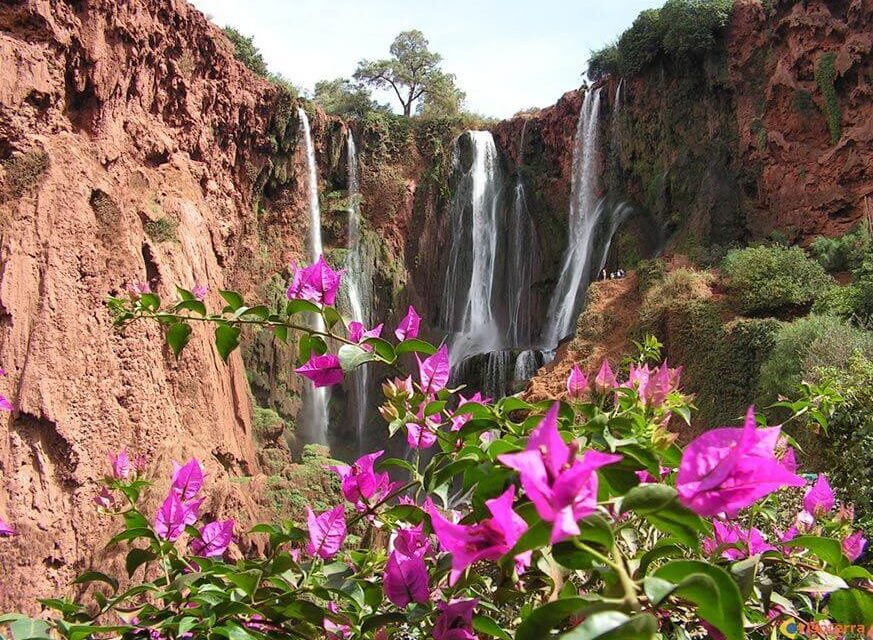 1 Day Trip To Ouzoud Waterfalls, Berber Village From Marrakech