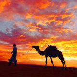 13 Days Tour To Moroccan Imperial Cities and Desert From Tangier