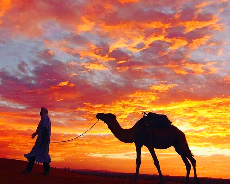 13 Days Tour To Moroccan Imperial Cities and Desert From Tangier