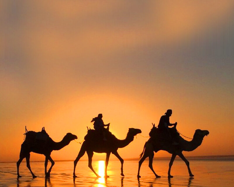 6 Days Tour To Merzouga Desert And Back To Marrakech From Agadir