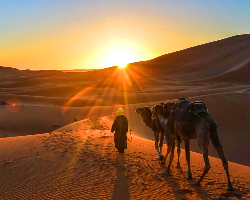 8 Days Tour To Marrakech Via Merzouga Private Trip from Casablanca