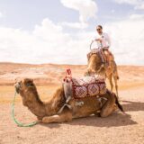 Activity Sunset Camel Ride in Agafay Desert From Marrakech