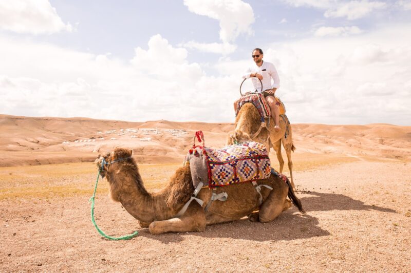 Activity Sunset Camel Ride in Agafay Desert From Marrakech