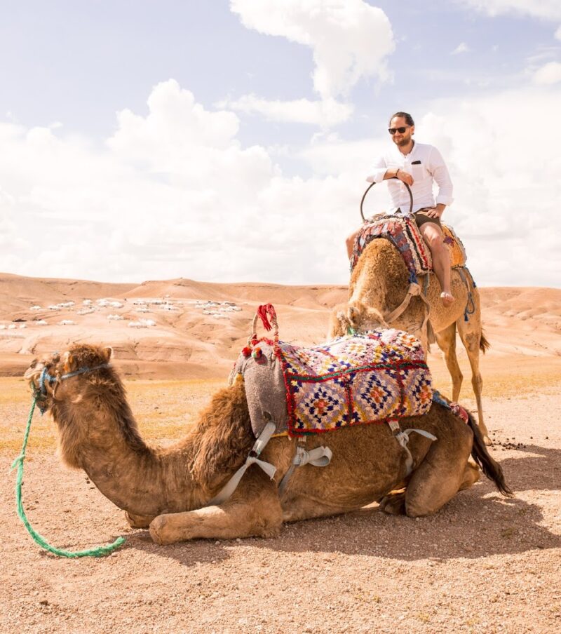 Activity Sunset Camel Ride in Agafay Desert From Marrakech