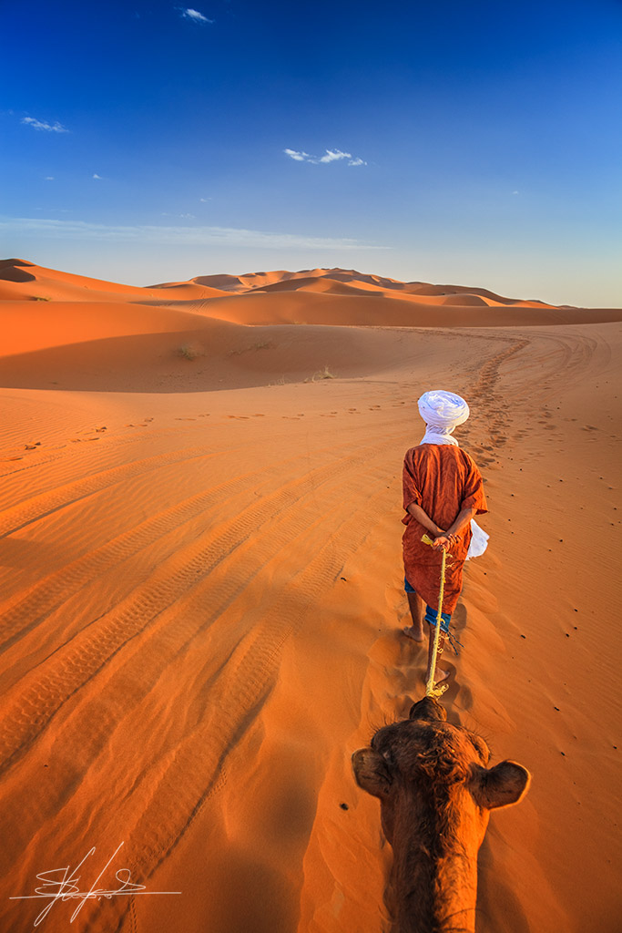 Camel Ride